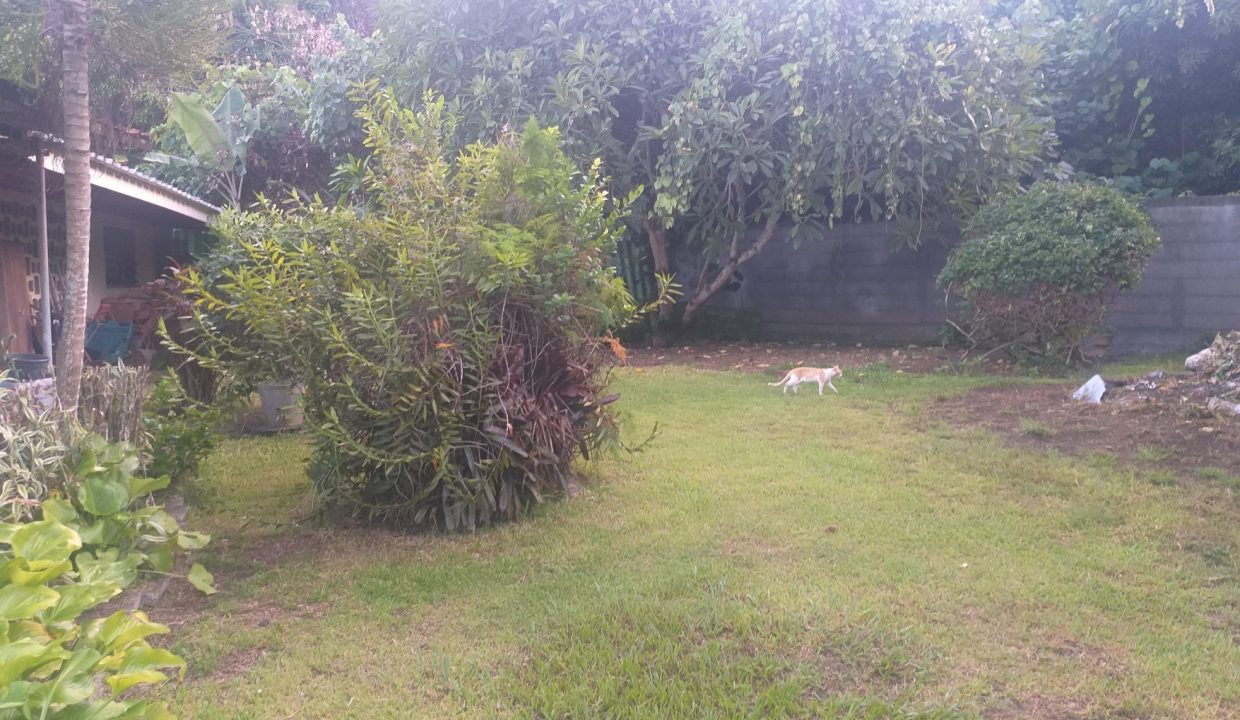 1669063817_VT102_1_original