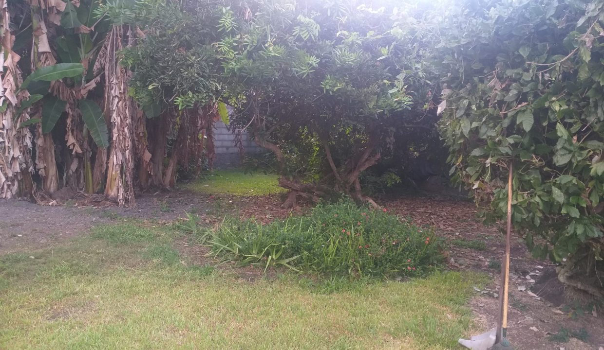 1669063821_VT102_2_original