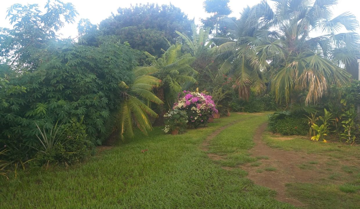 1669063825_VT102_3_original