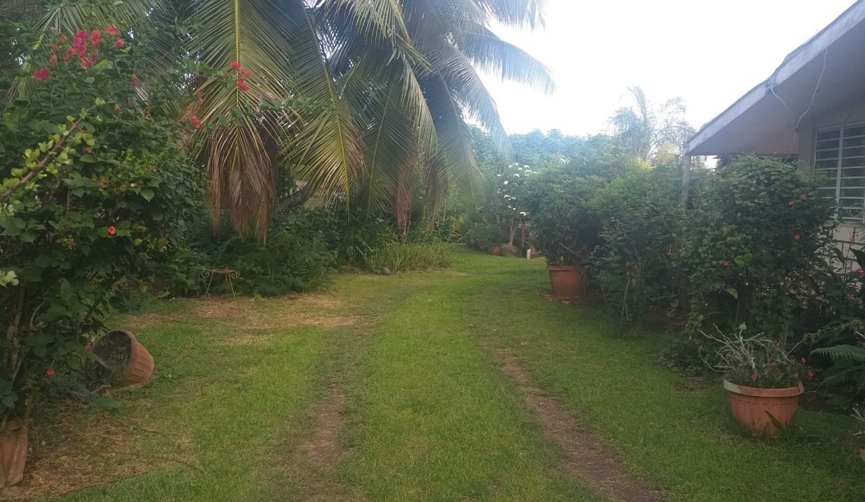 1669063828_VT102_4_original