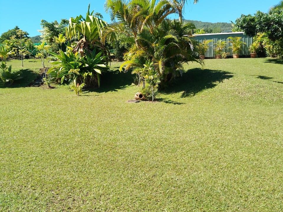 1695936258_VM389_14_original