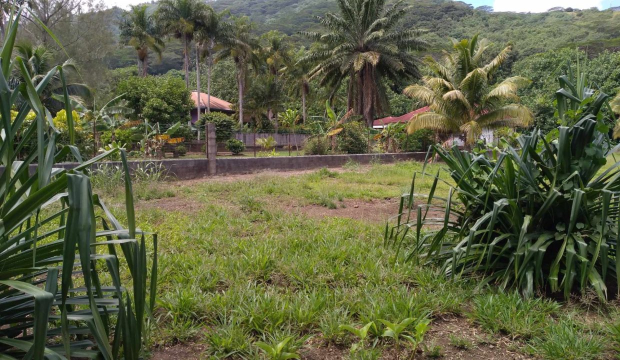 1726772342_VT196_1_original