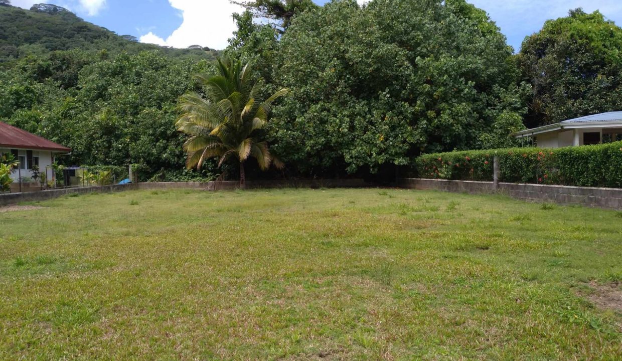 1726772345_VT196_2_original