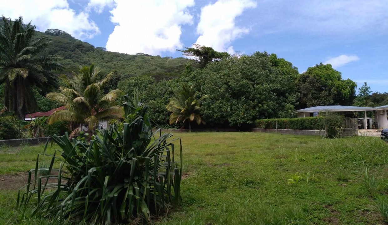 1726772347_VT196_3_original