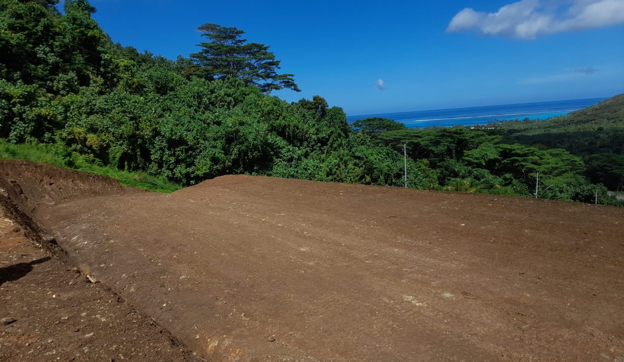 1737919486_VT230_3_original