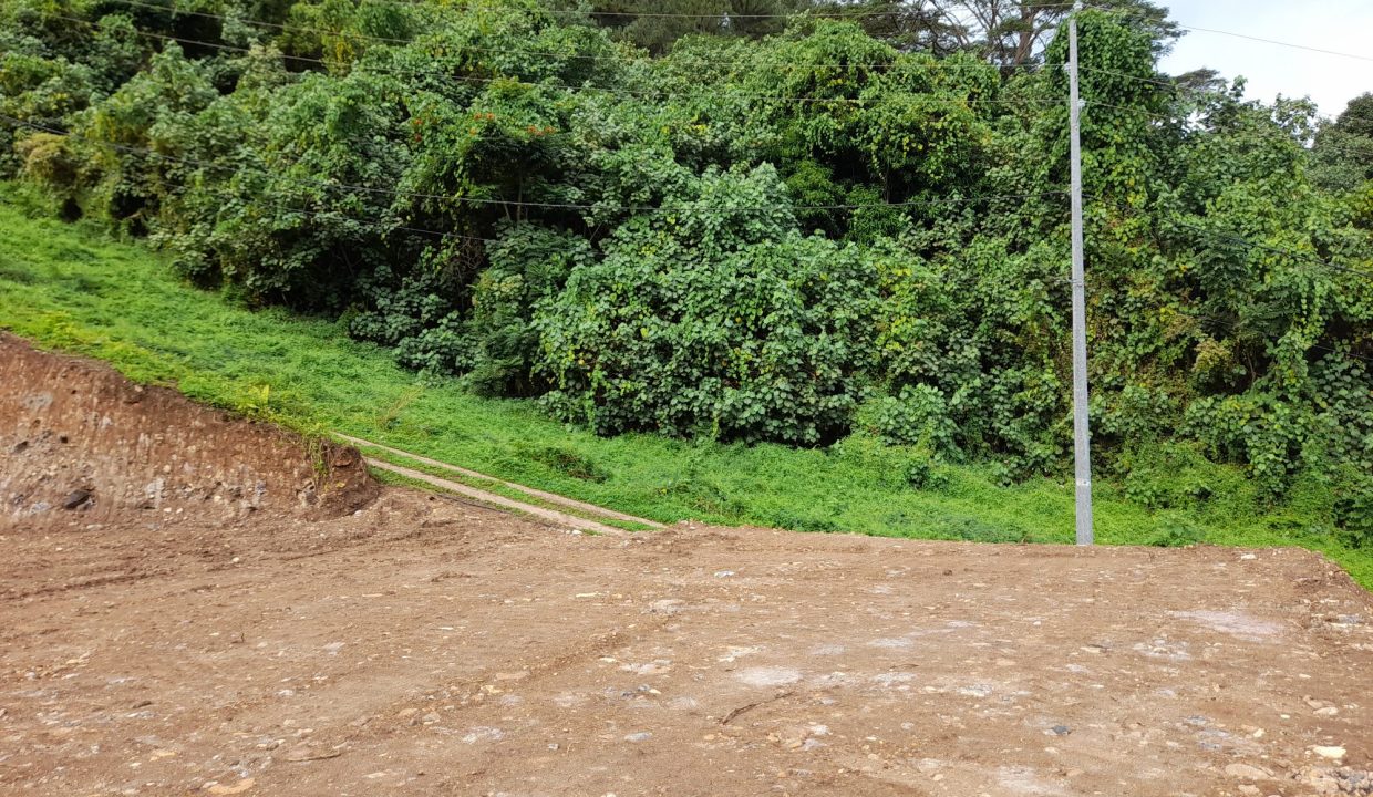 1737919491_VT230_4_original