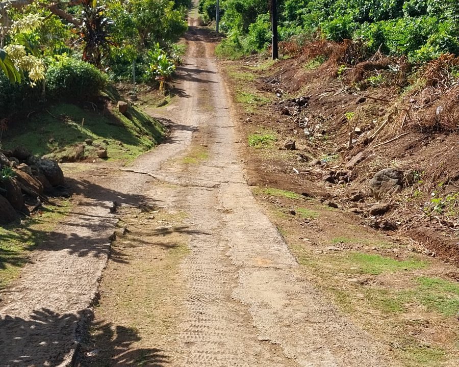 1737919496_VT230_5_original