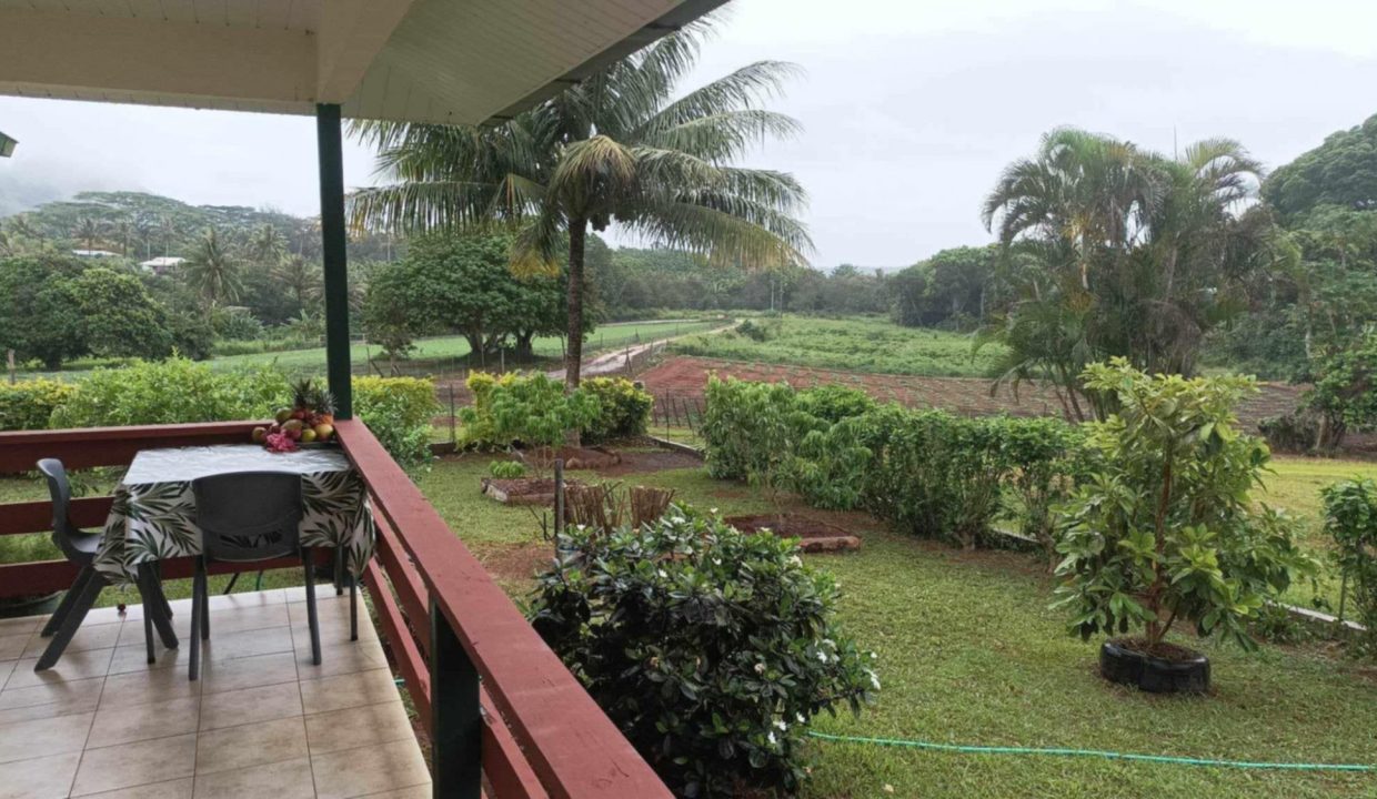 1743557686_VM493_6_original