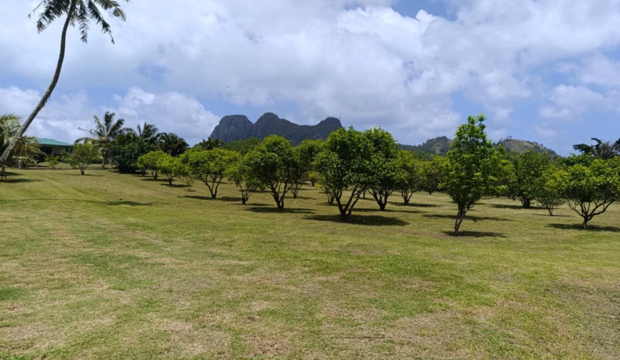 1743557743_VM493_8_original