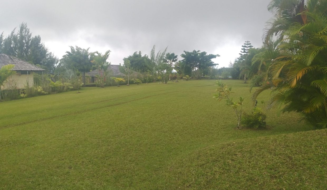 1747426157_VM507_3_original