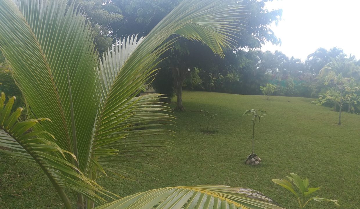 1747426169_VM507_7_original