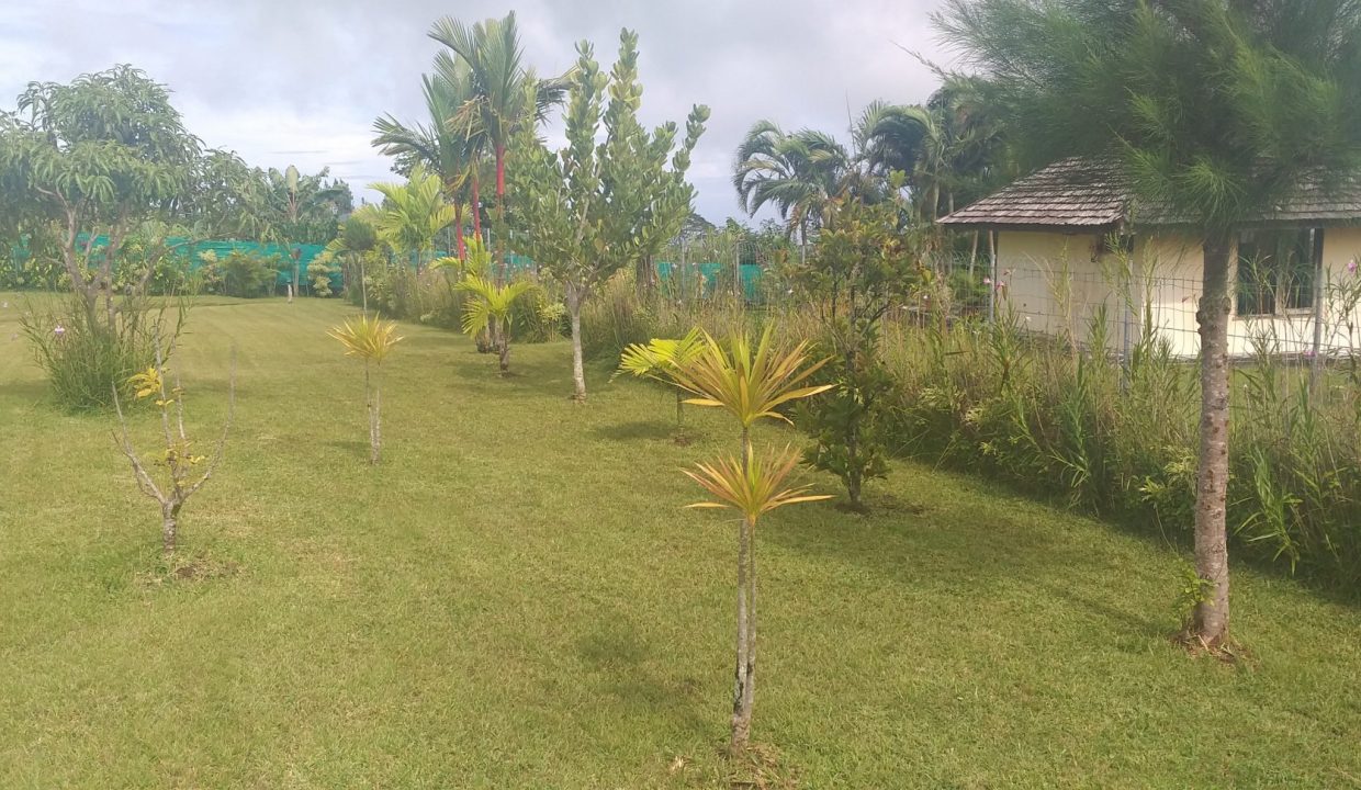 1747426188_VM507_12_original