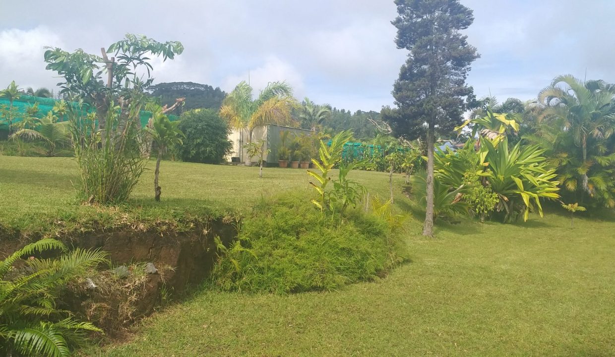 1747426195_VM507_14_original