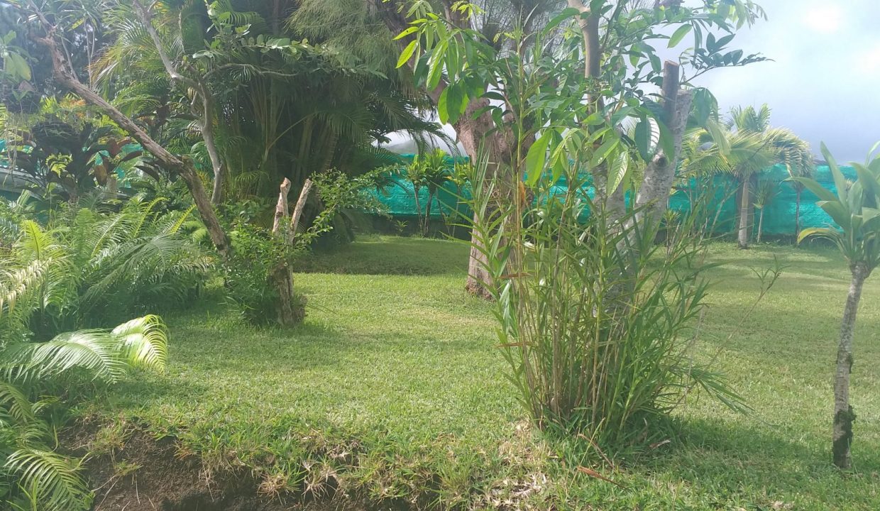 1747426203_VM507_16_original