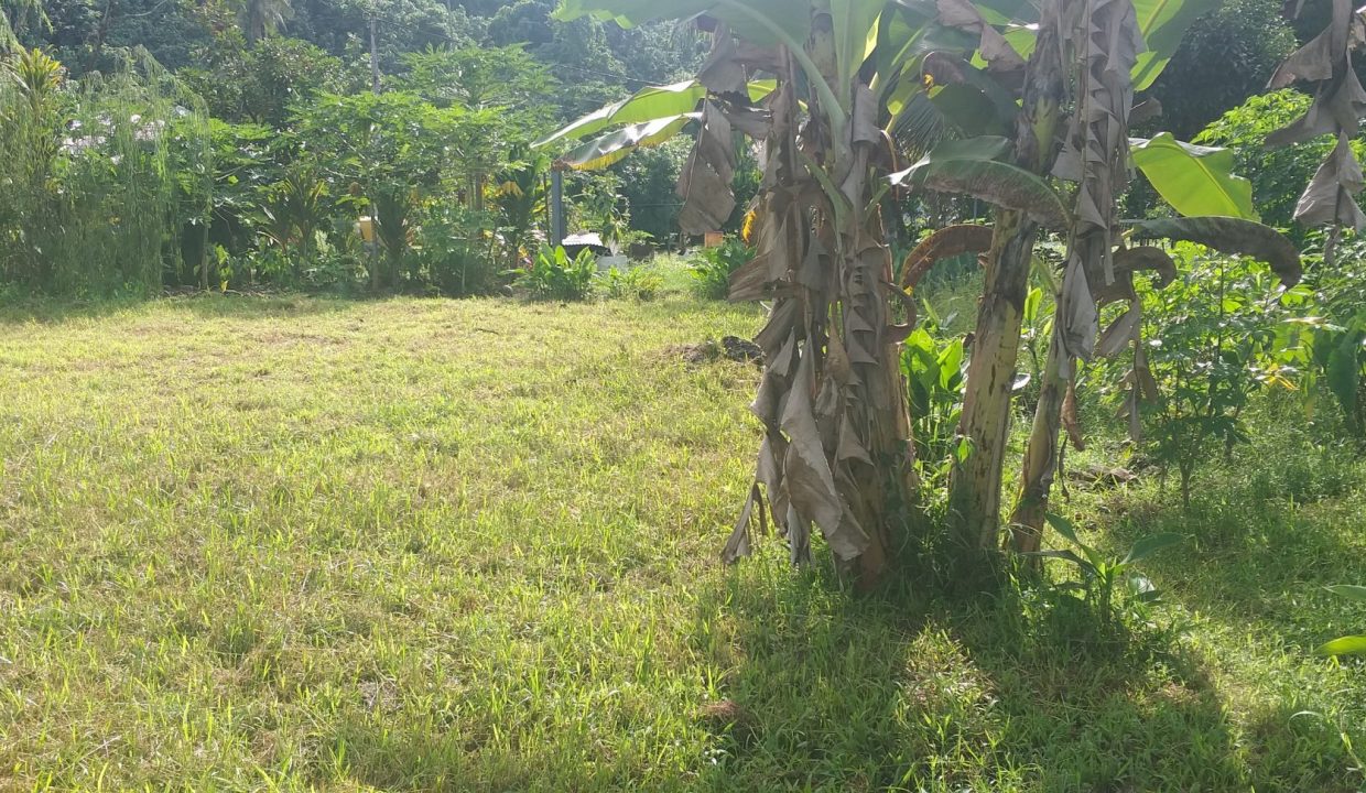 1748288303_VT256_2_original