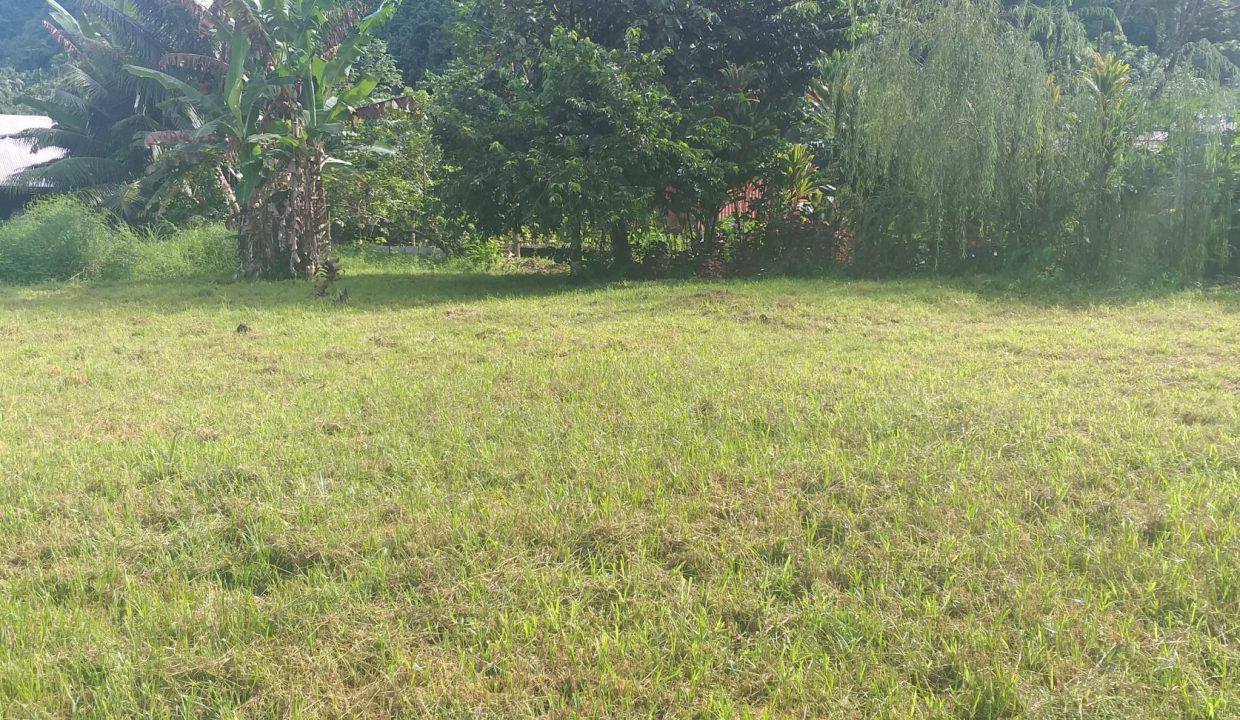 1748288307_VT256_3_original