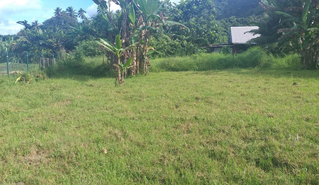 1748288310_VT256_4_original