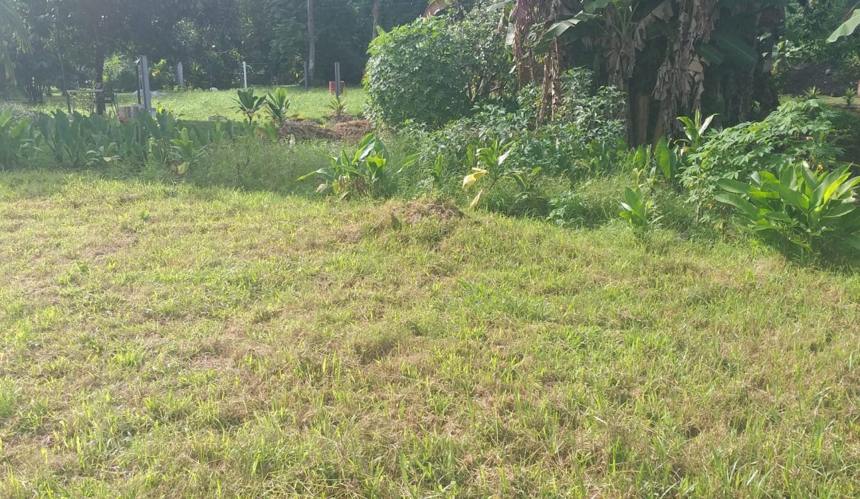 1748288317_VT256_6_original