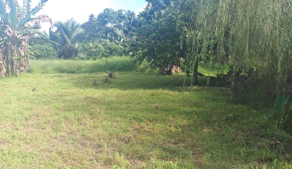 1748288321_VT256_7_original