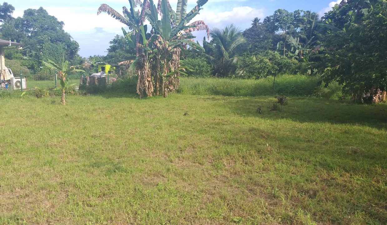 1748288323_VT256_8_original