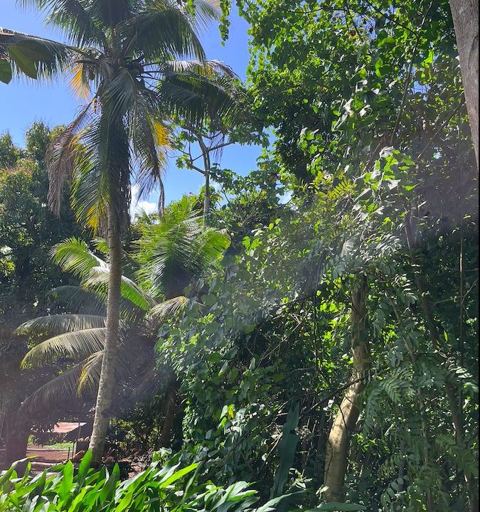 1758248751_VT275_1_original