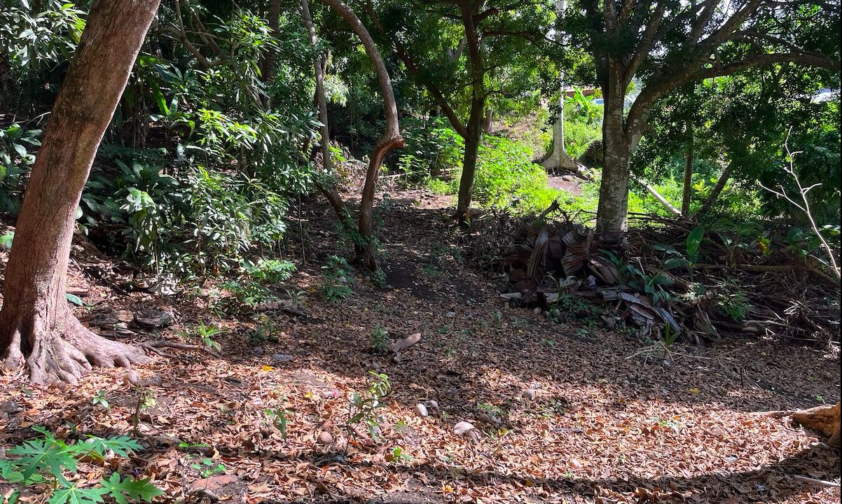 1758248756_VT275_2_original