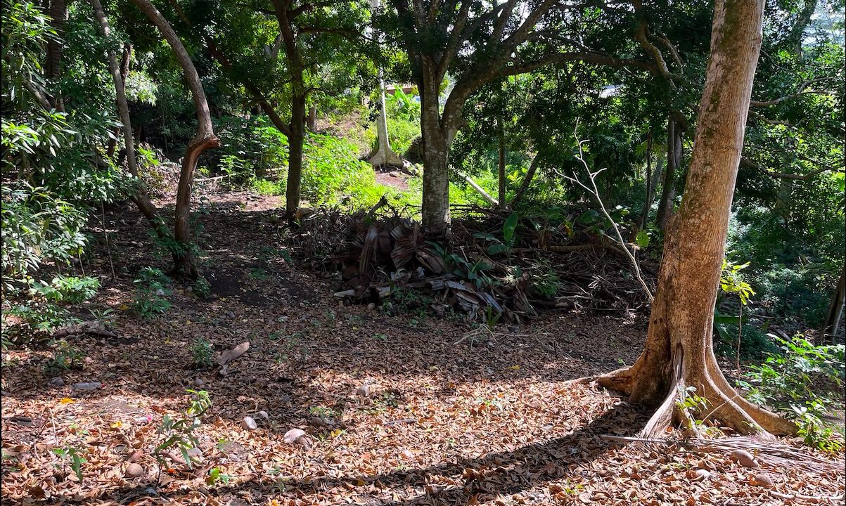 1758248762_VT275_3_original