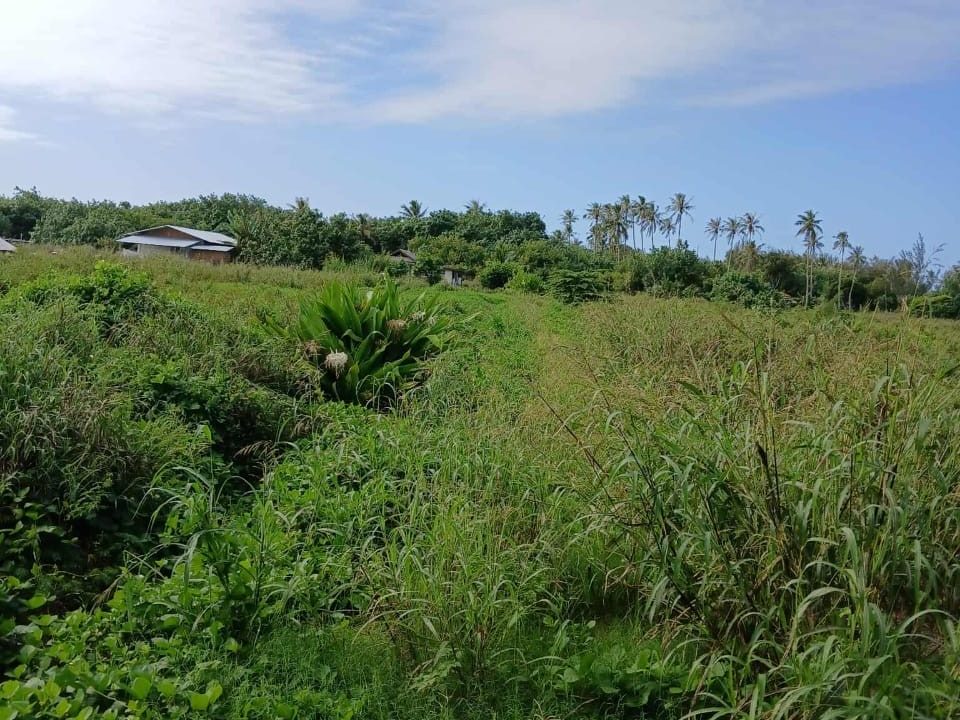 1758743891_VT262_2_original