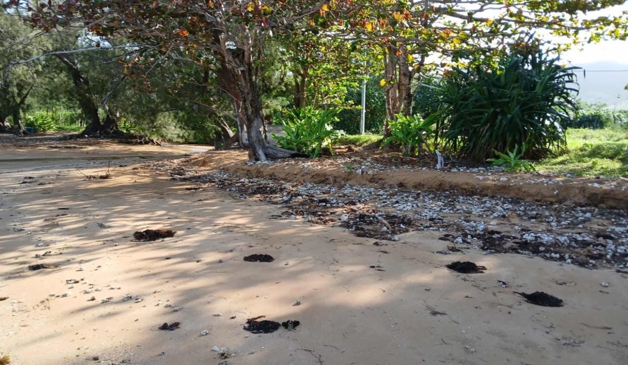 1758743893_VT262_3_original