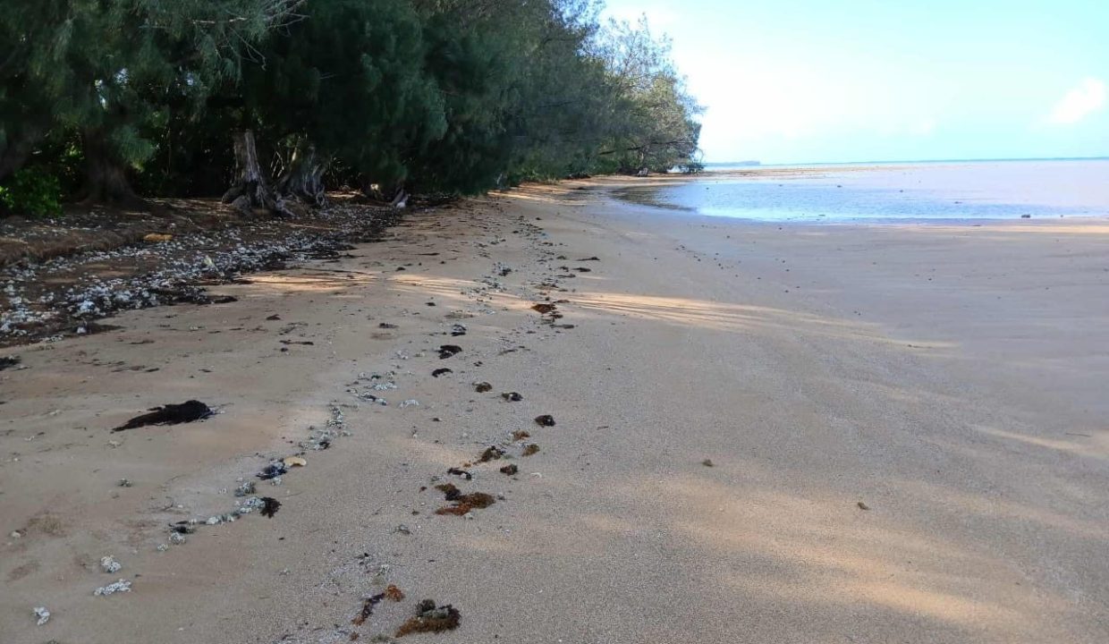 1758743898_VT262_5_original