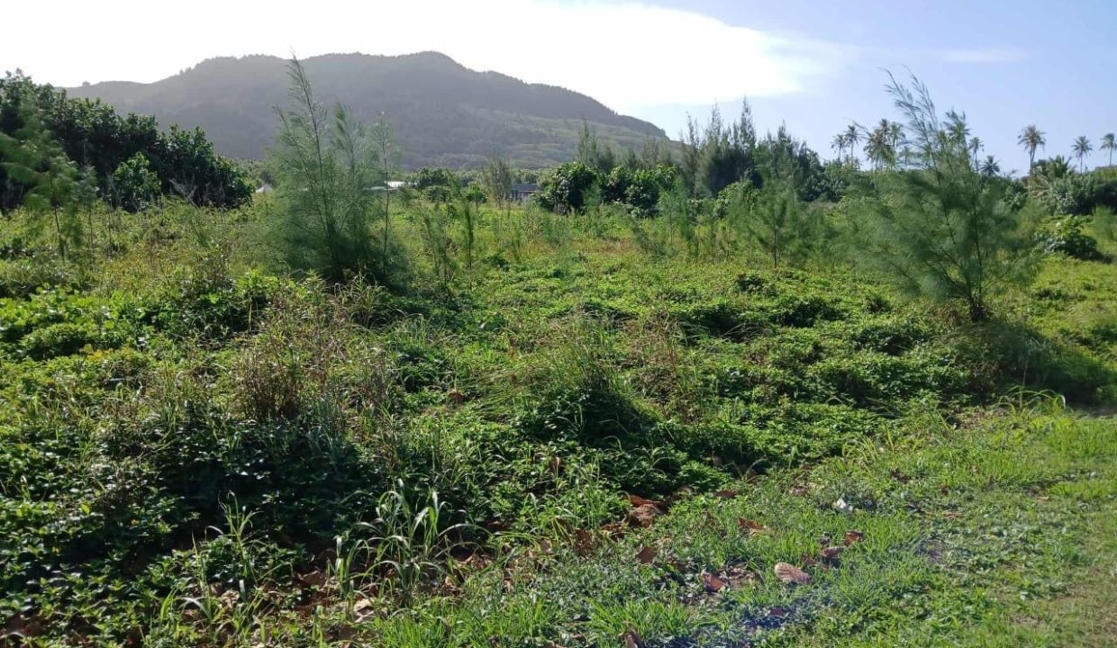 1758743902_VT262_6_original