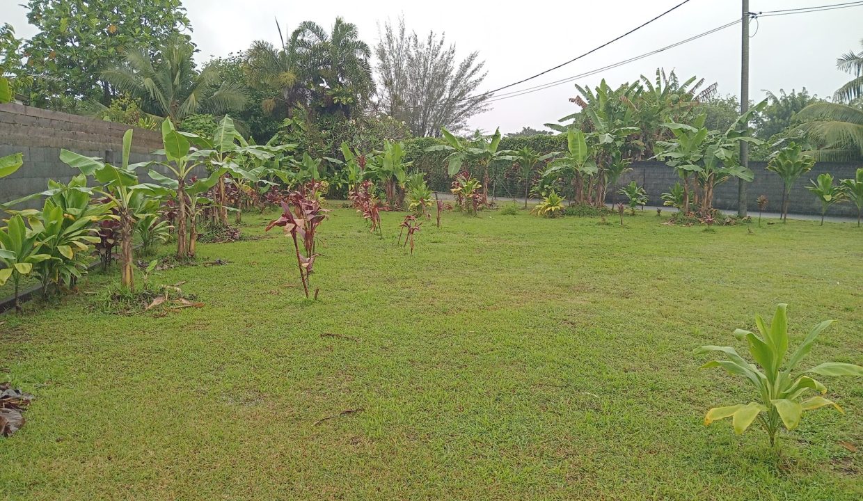 1761673778_VT281_1_original