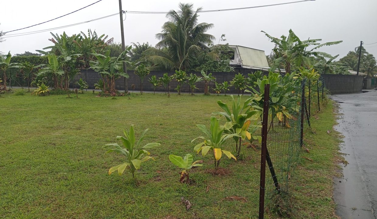 1761673784_VT281_2_original