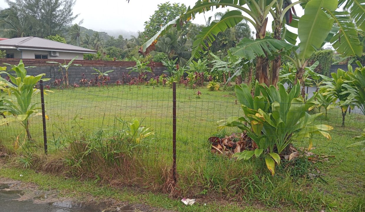 1761673789_VT281_3_original