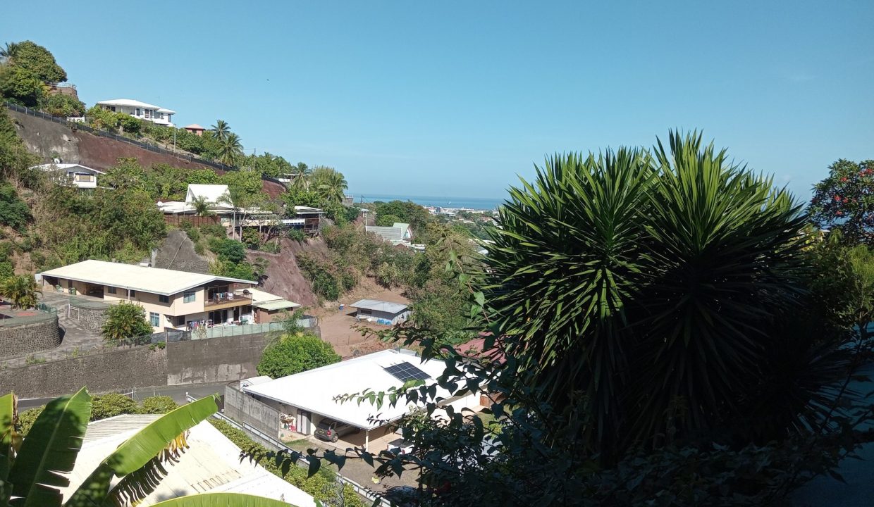 1763062051_LA2311_4_original