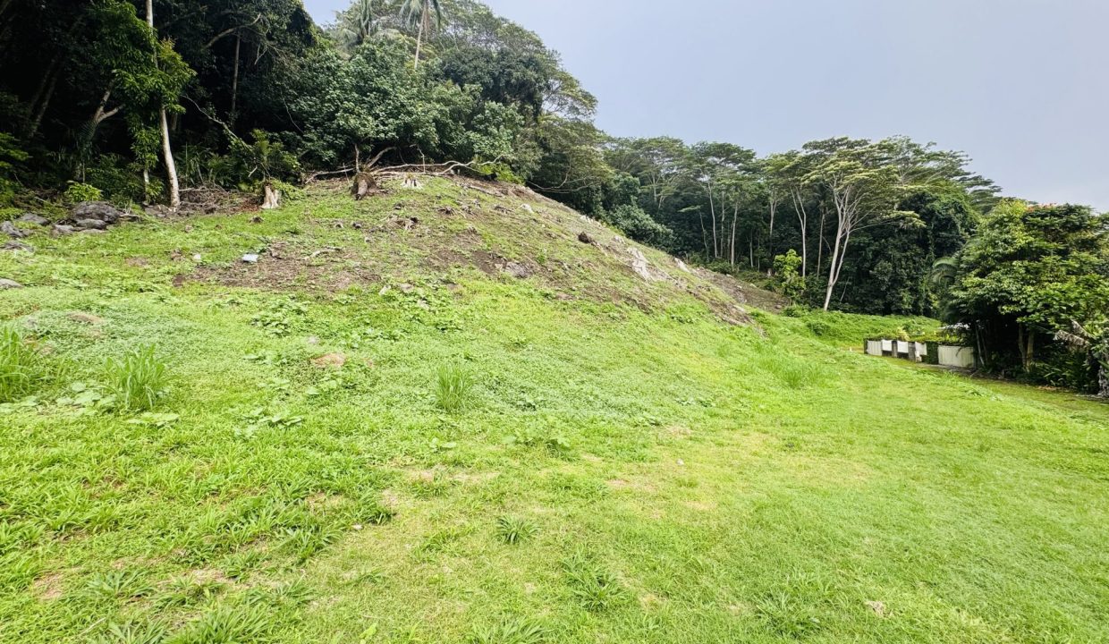 1763421384_VT284_1_original