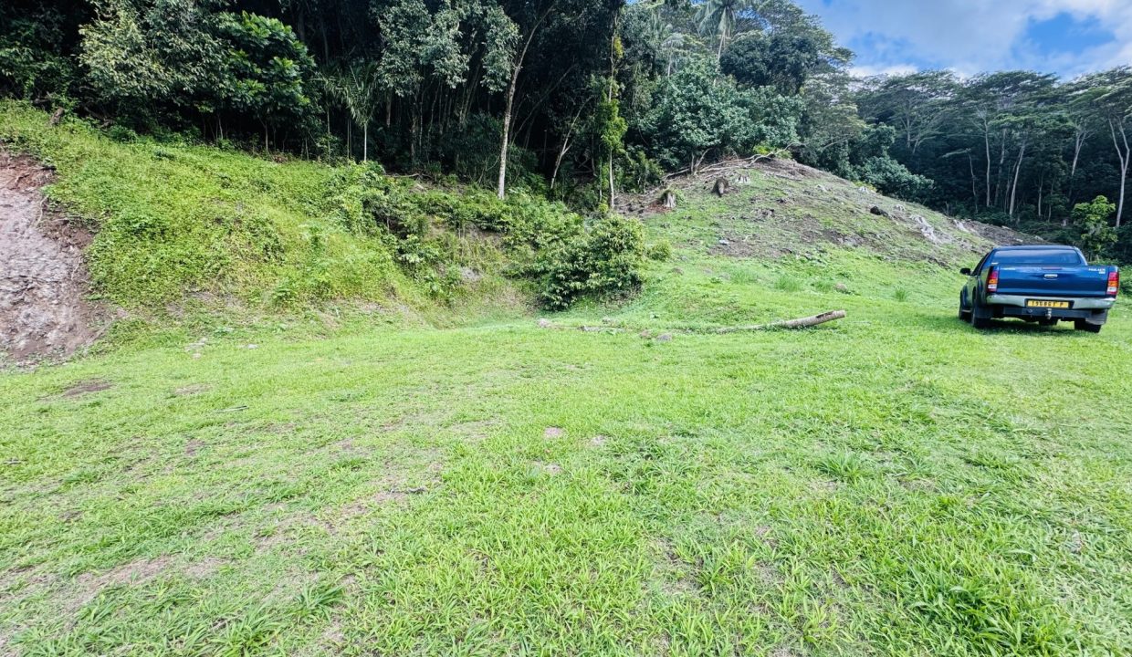 1763422387_VT282_1_original