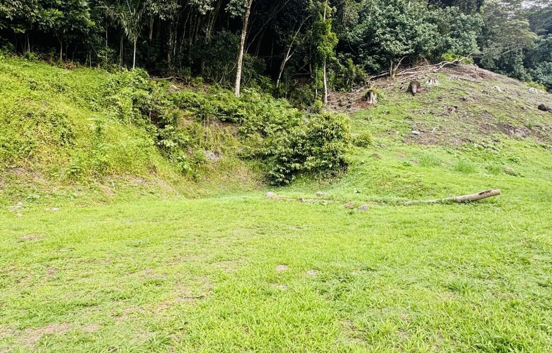 1763422412_VT282_2_original