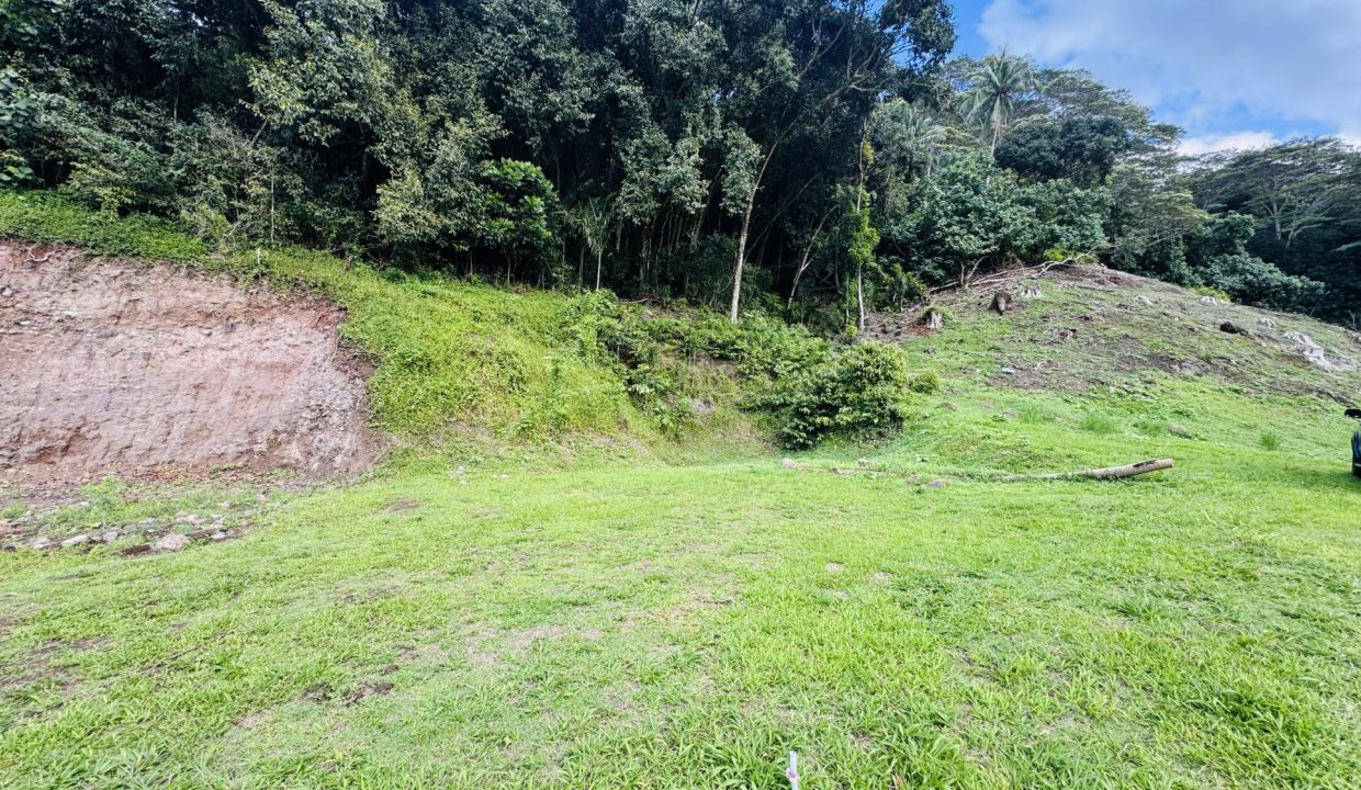 1763422438_VT282_3_original