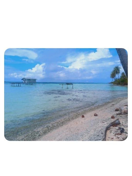 1764185166_VT291_2_original