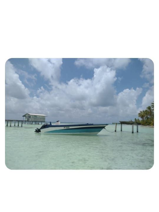 1764185167_VT291_3_original