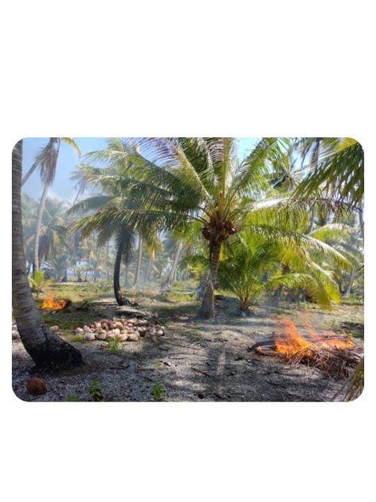 1764185169_VT291_4_original