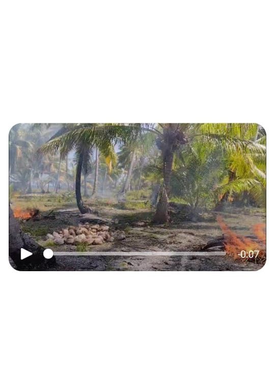 1764185170_VT291_5_original