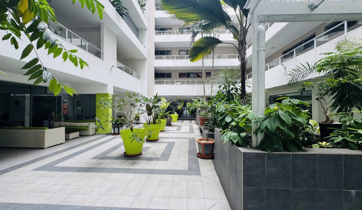 1770170626_VA2329_4_original