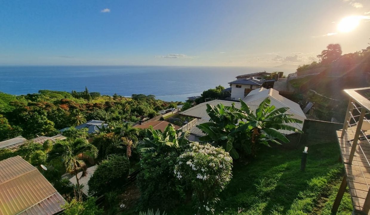 1774483070_VM569_3_original