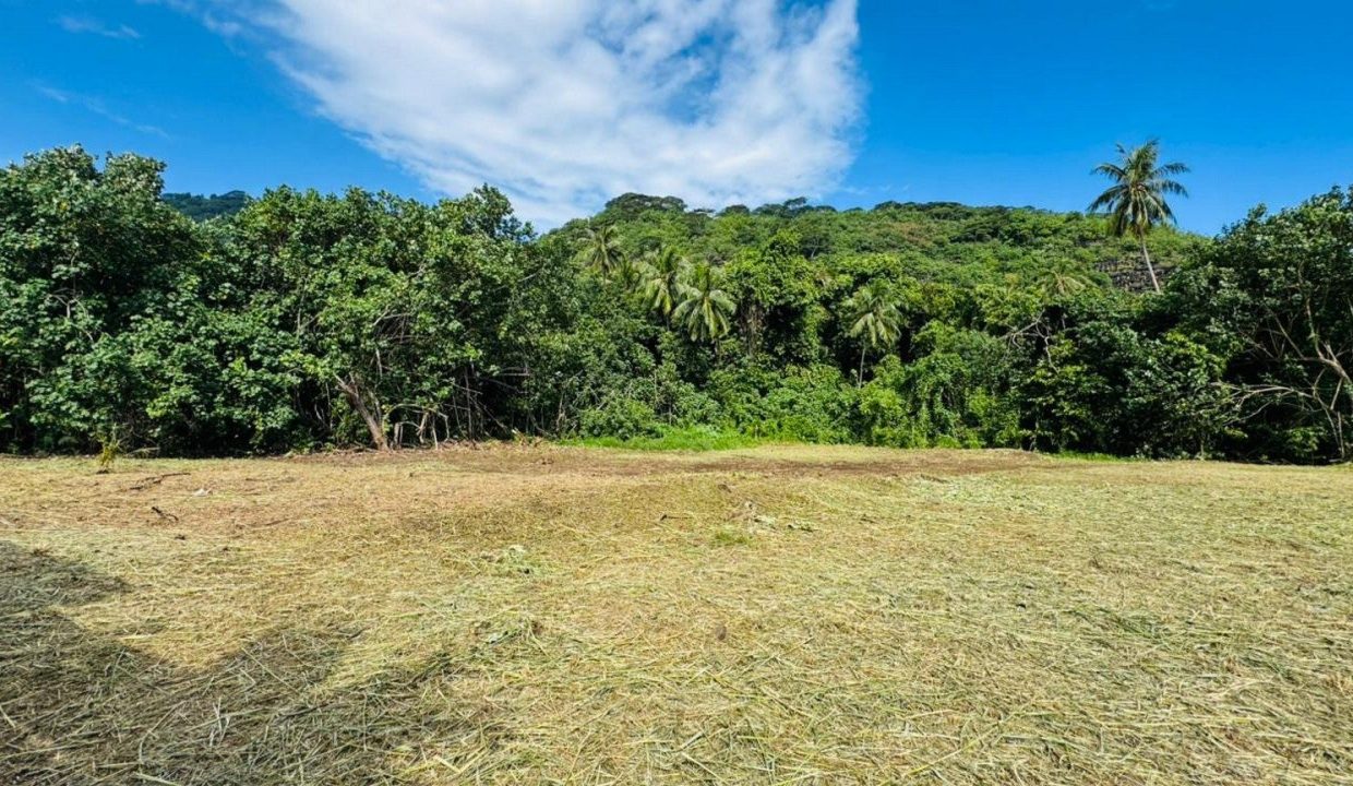 1775061336_VT304_2_original