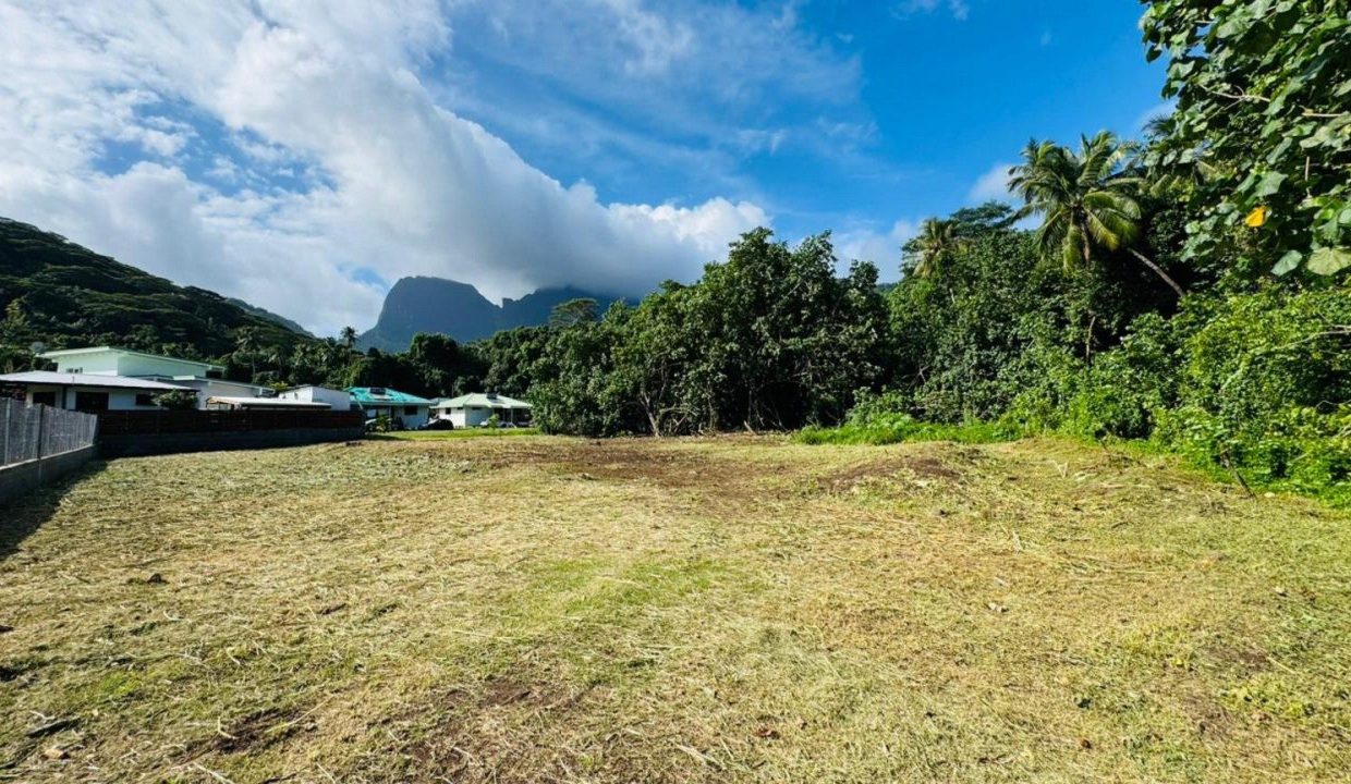 1775061604_VT304_6_original