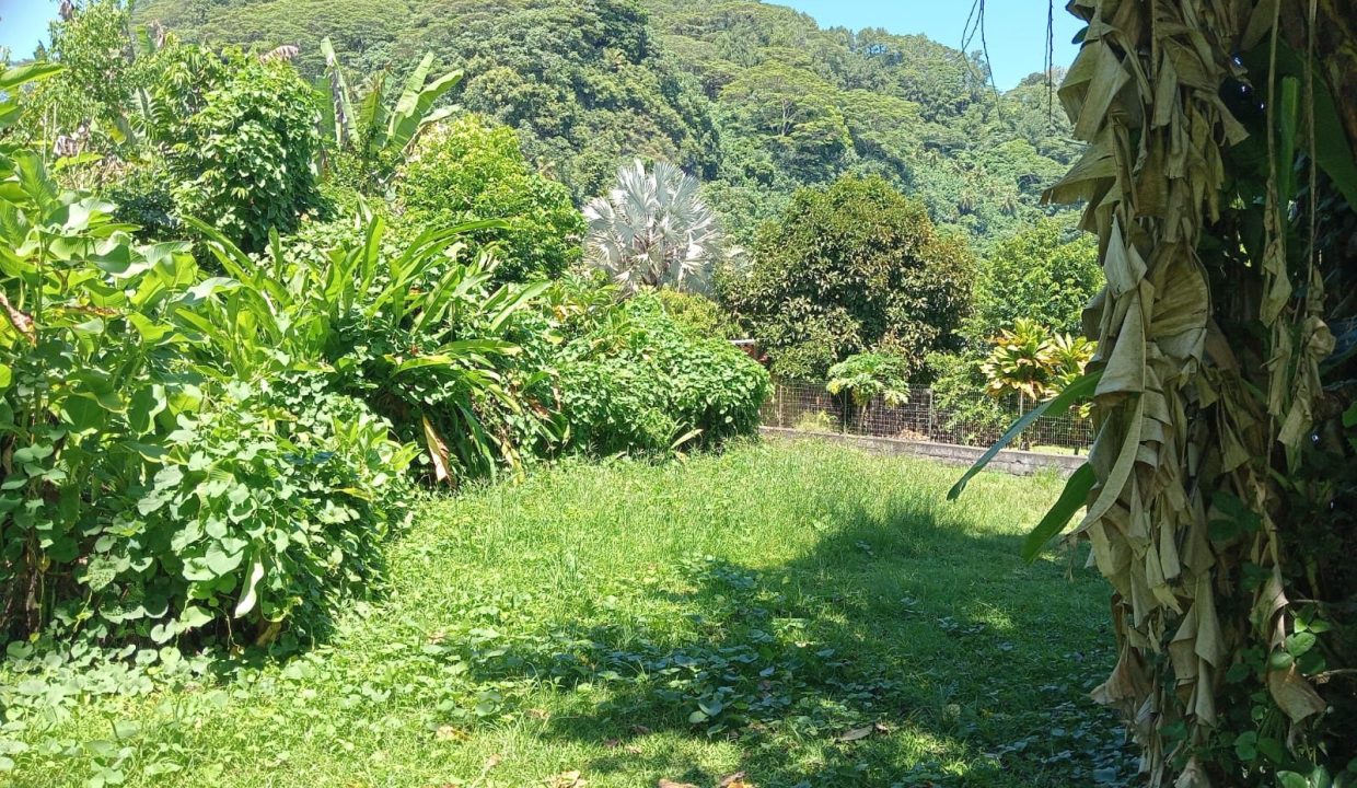 1775145699_VT305_1_original