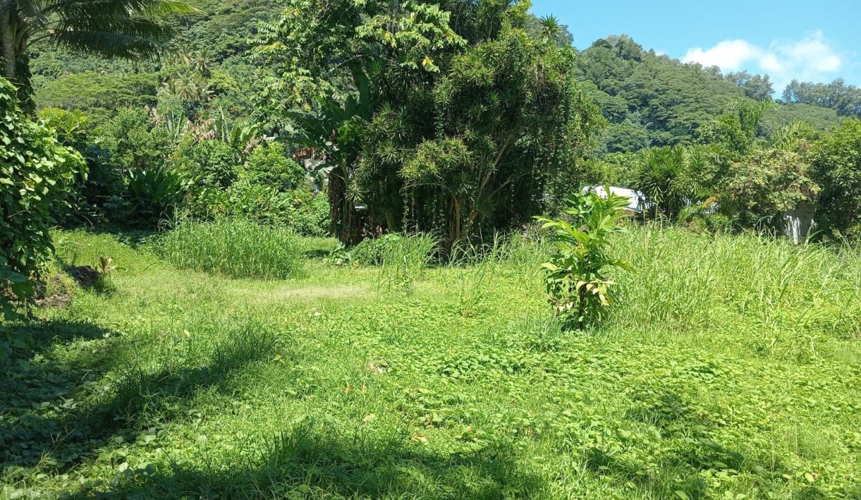 1775145712_VT305_2_original