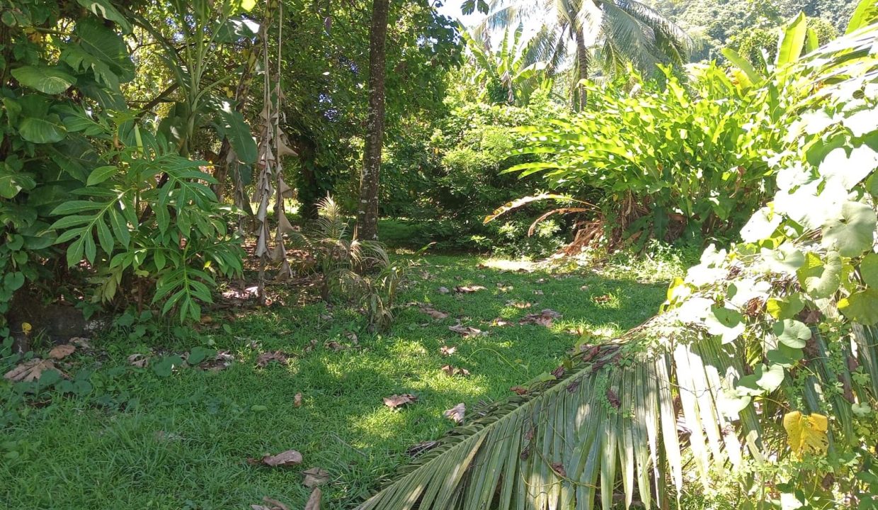 1775145737_VT305_3_original